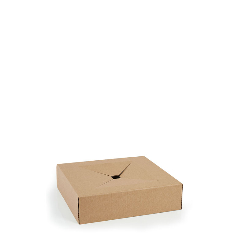 Insert For Hand Tie Delivery Box 436 x 465mm