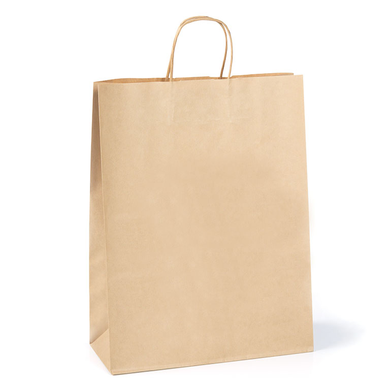 Plain Paper Carrier Bags