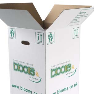 Corrugated Carton Boxes