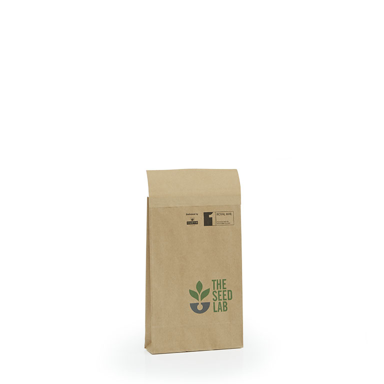 Brown Kraft Paper Mail Bags 190 x 50 x 300mm printed 1SFC