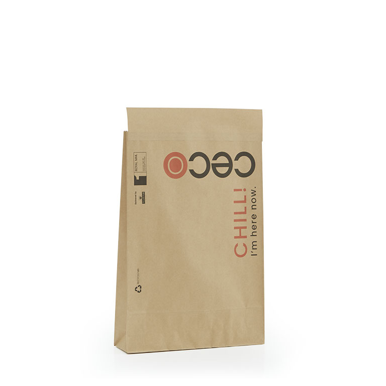 Brown Kraft Paper Mail Bags 300 x 80 x 430mm printed 1SFC