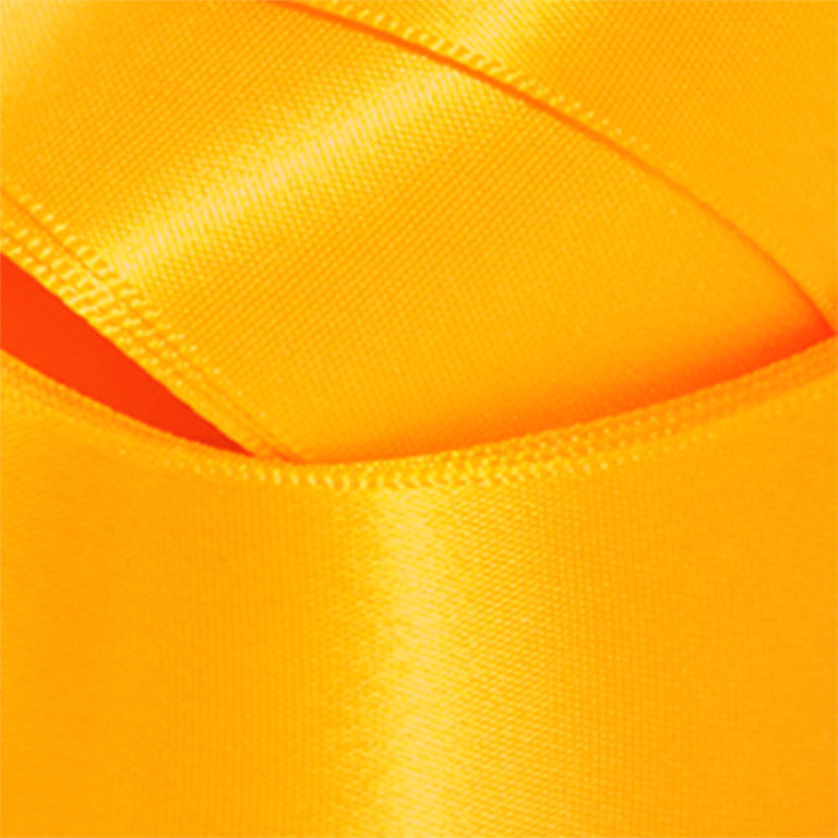 DFS Ribbon 10mm Tuscan 240 Printed