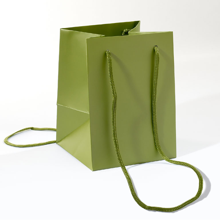 Stock Rope Handled Carrier Bags