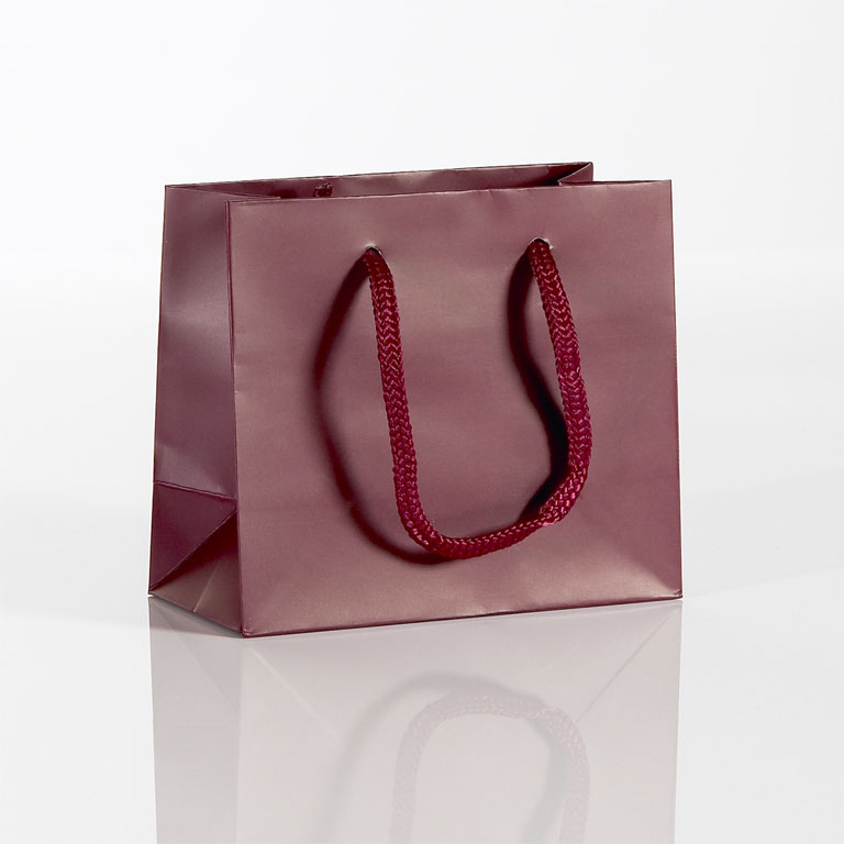 Small Boutique Rope Handled Carrier Burgundy
